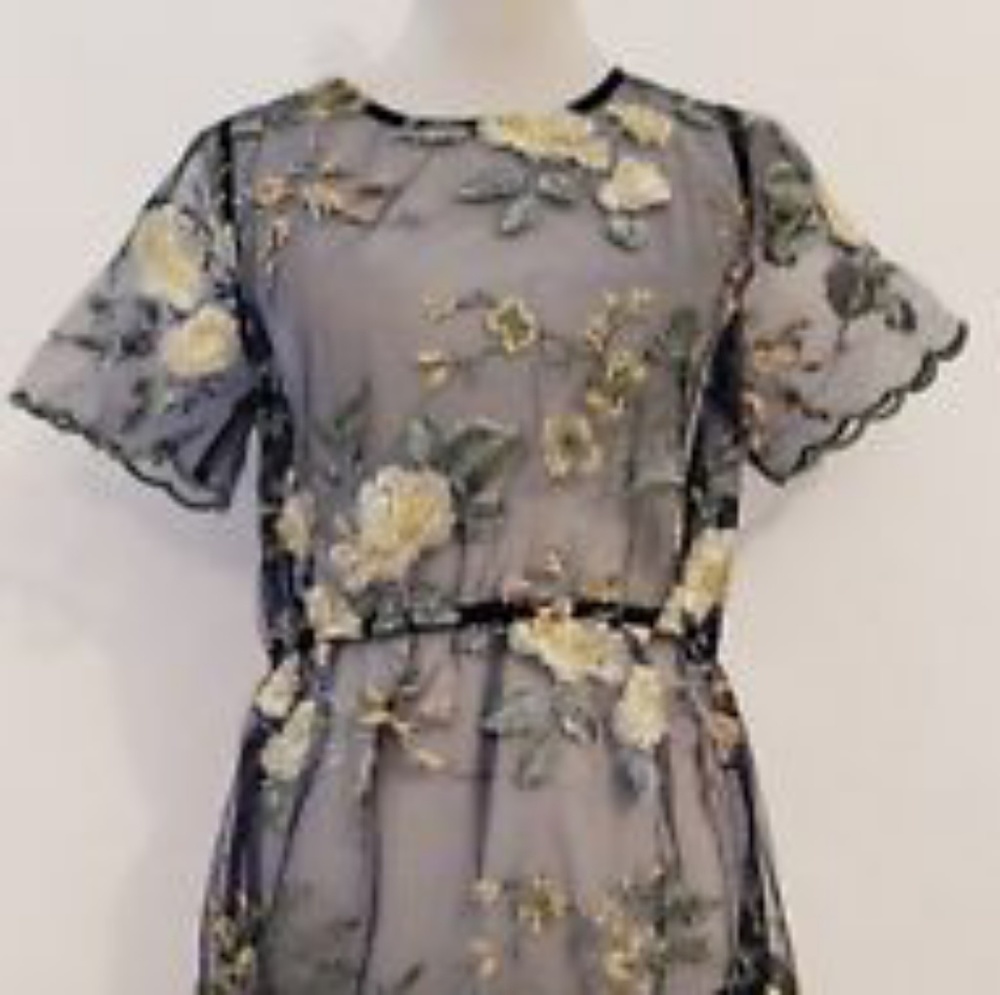 Gorgeous embroidered maxi dress